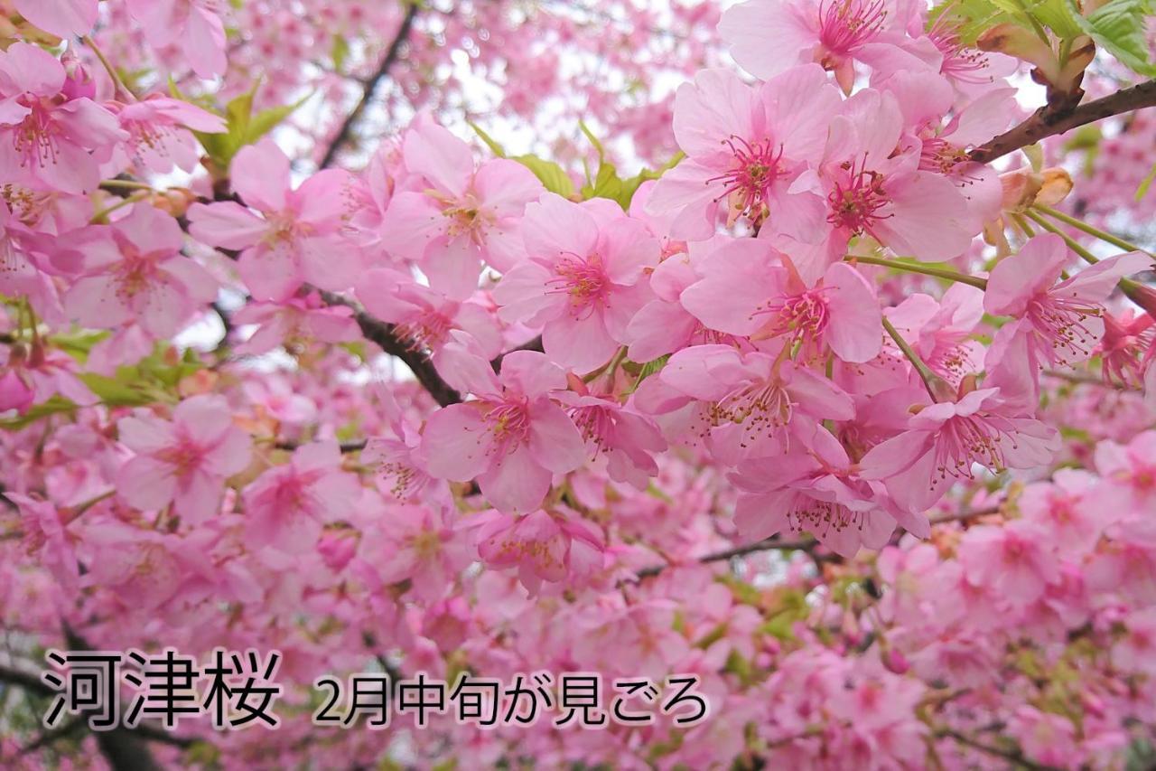 下田伊豆稲取テラス-寛道-别墅 外观 照片